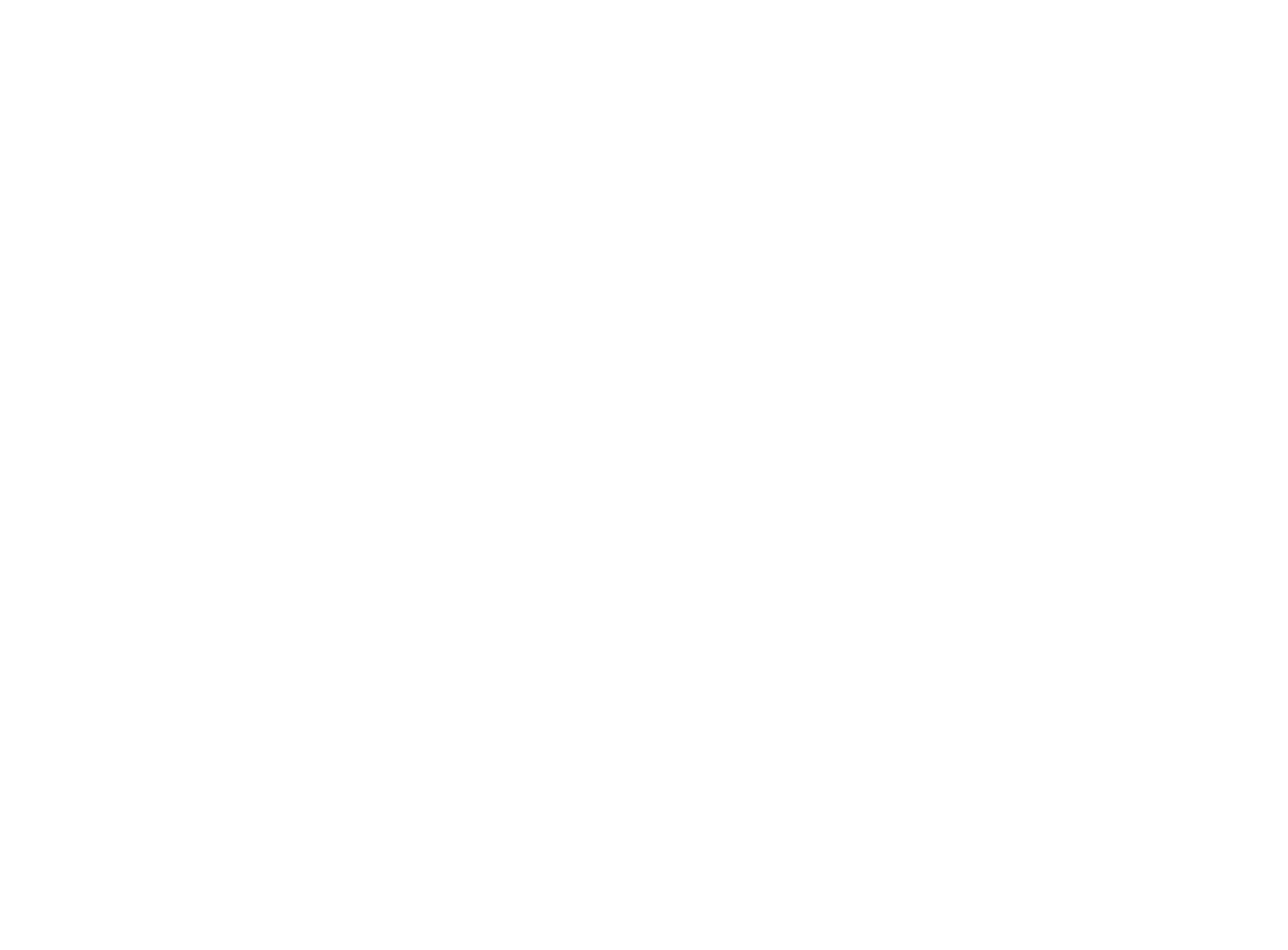AI Leaders